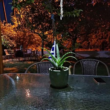 Mιχαλης Apartments 帕拉米夏 外观 照片