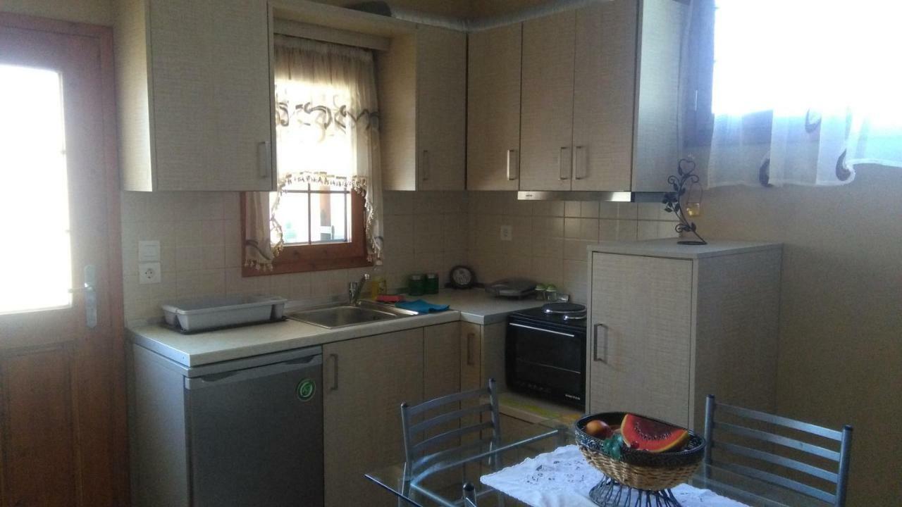 Mιχαλης Apartments 帕拉米夏 外观 照片