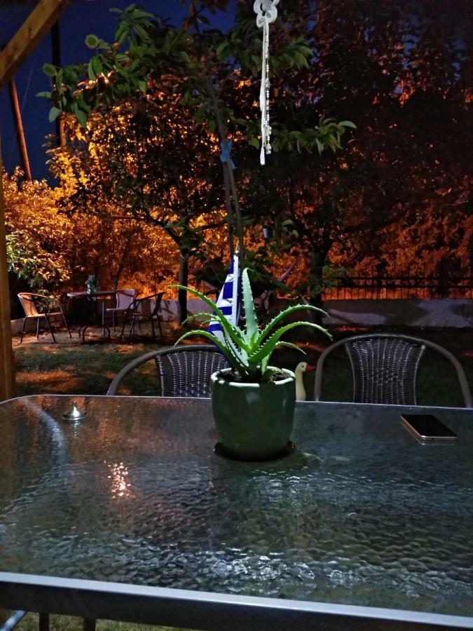 Mιχαλης Apartments 帕拉米夏 外观 照片
